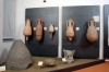 Alba (CN), 92° Edizione Fiera Internazionale del tartufo bianco d’Alba - Museo civico archeologico e di scienze naturali &quot;Federico Eusebio&quot;, aree archeologiche di Vicolo San Biagio e Via Cuneo. Aperture straordinarie e visite guidate